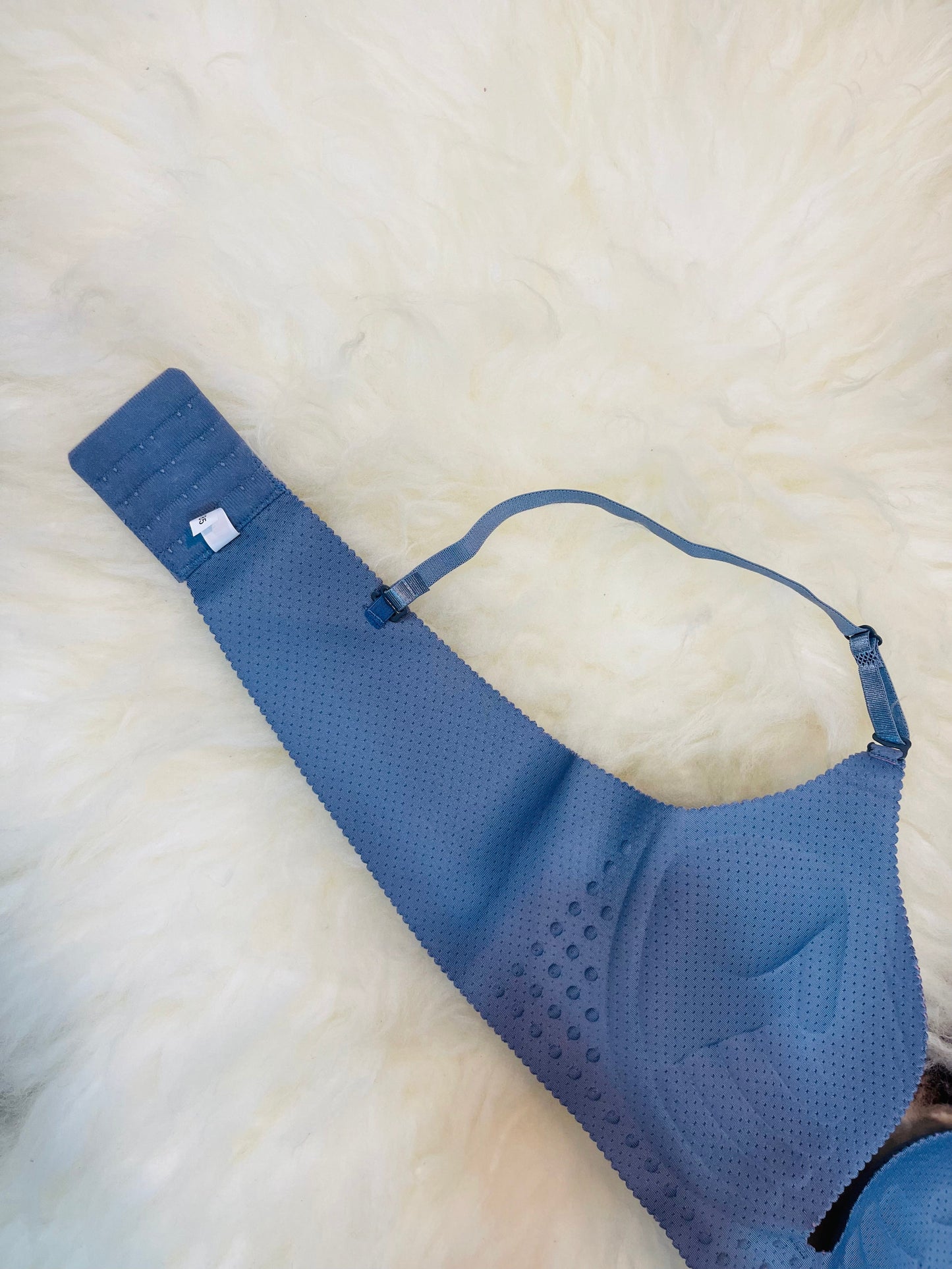 Truekind® Imported Seamless Padded Push-up Bra - Blue Edition 🎁